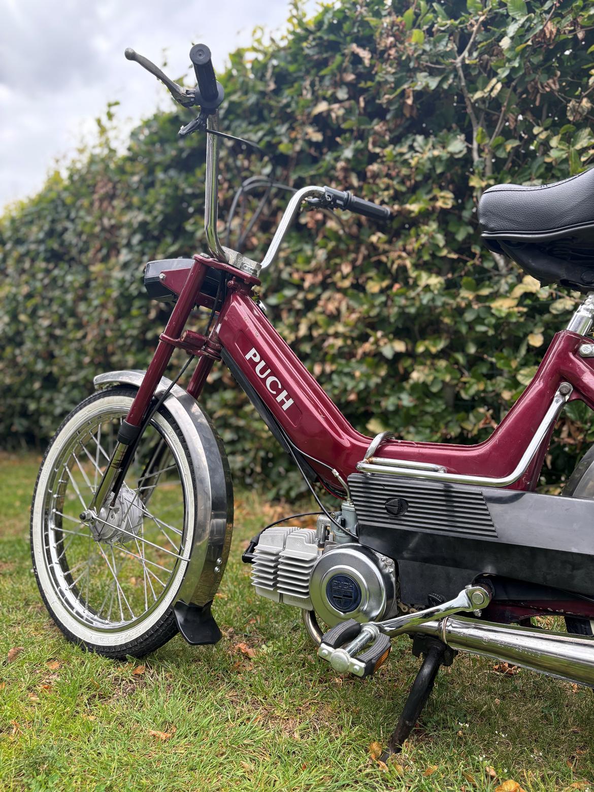 Puch Maxi P billede 5