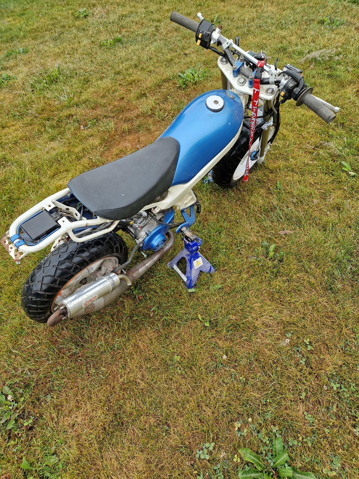 Suzuki Street magic billede 6