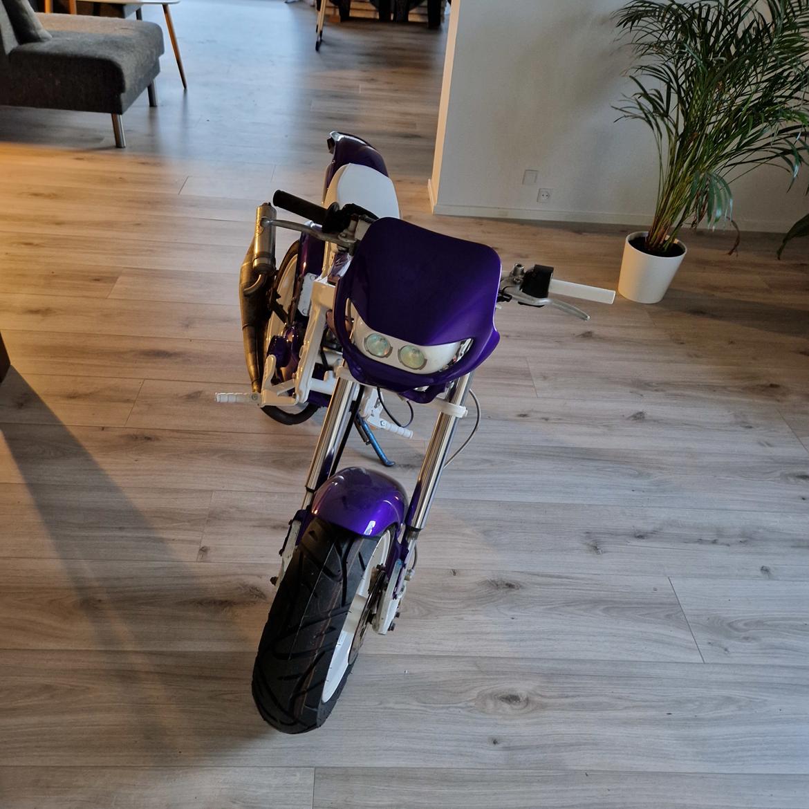 Suzuki Street magic billede 7