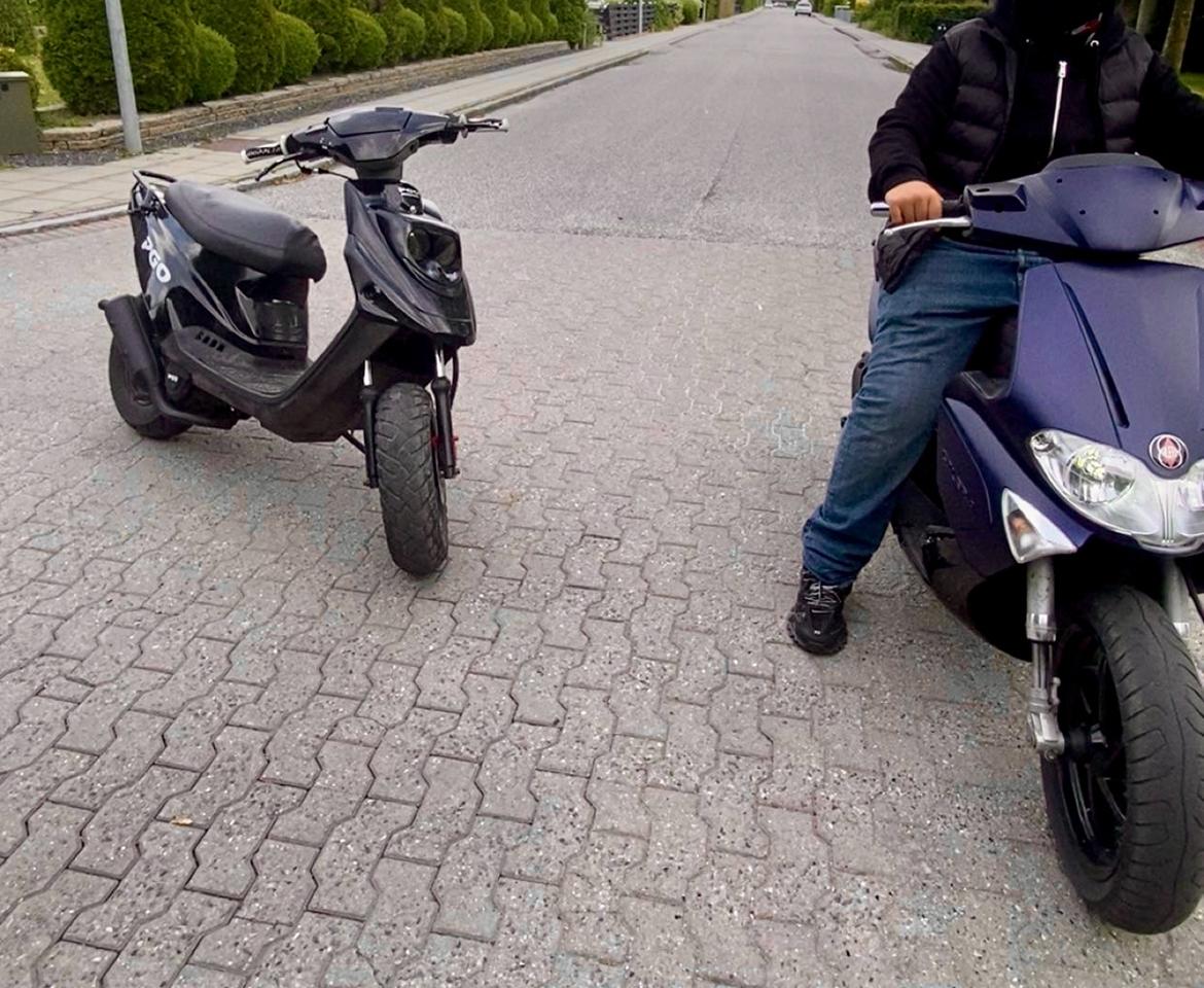 PGO Hot 50  billede 2