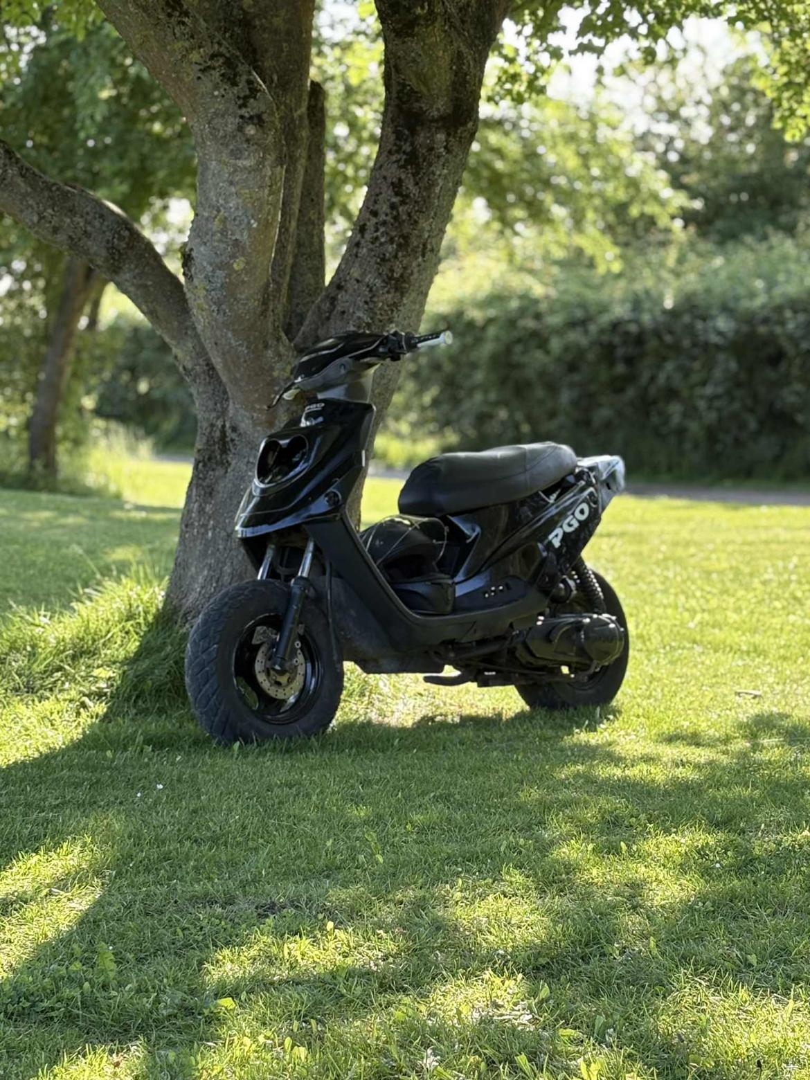 PGO Hot 50  billede 10