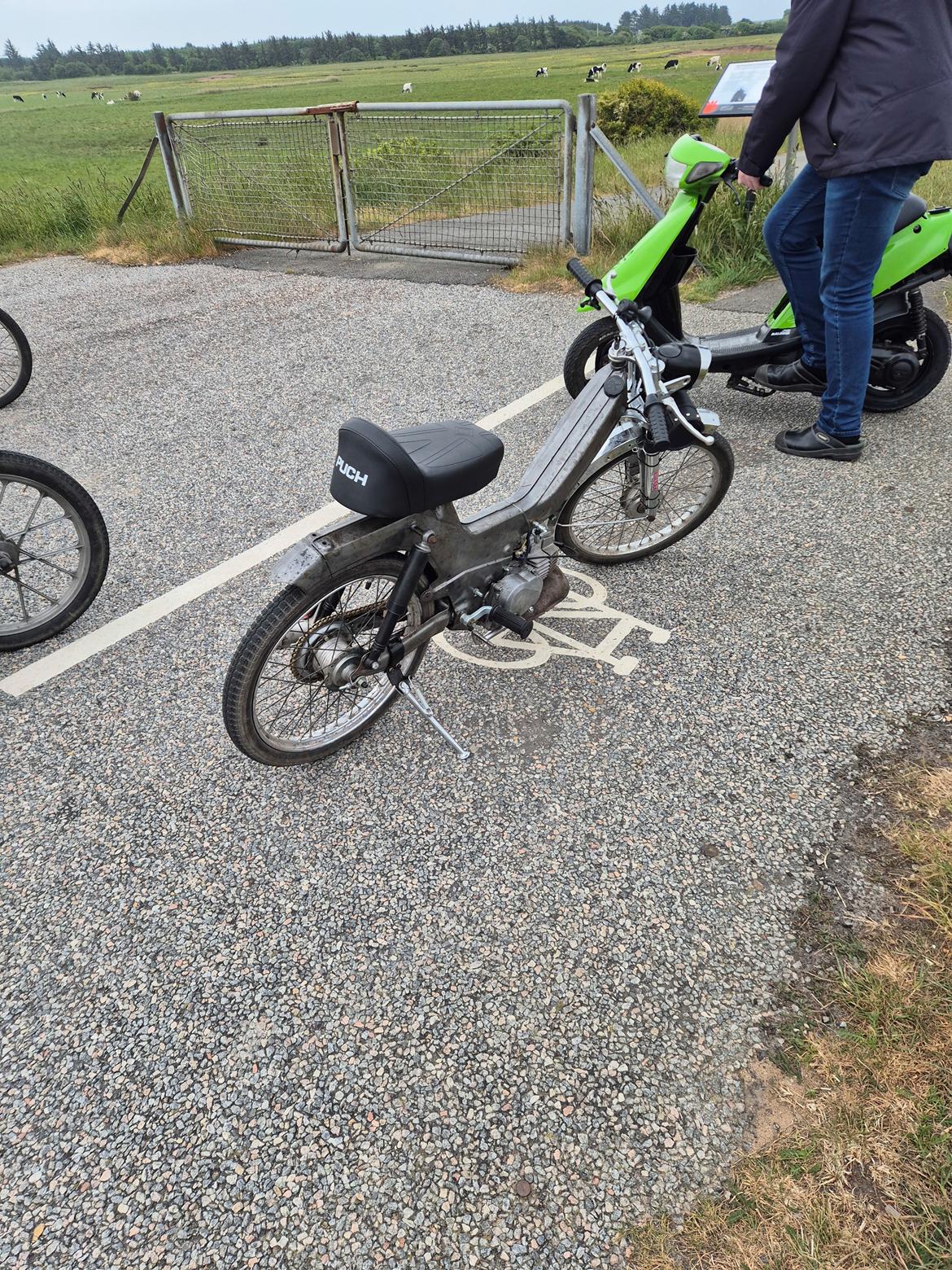 Puch Maxi KL billede 7