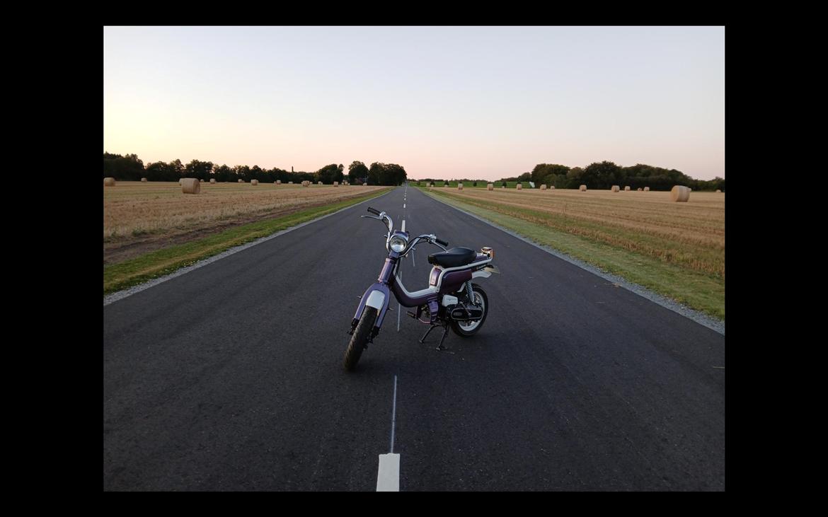 Suzuki Fz50 billede 6