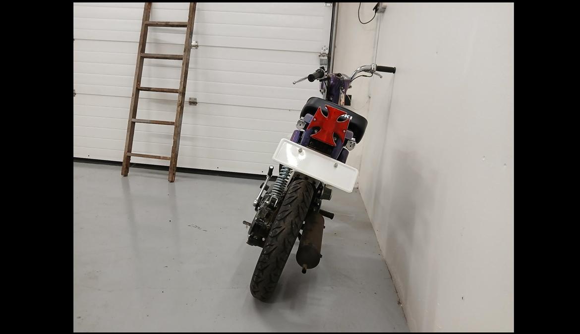 Suzuki Fz50 billede 2
