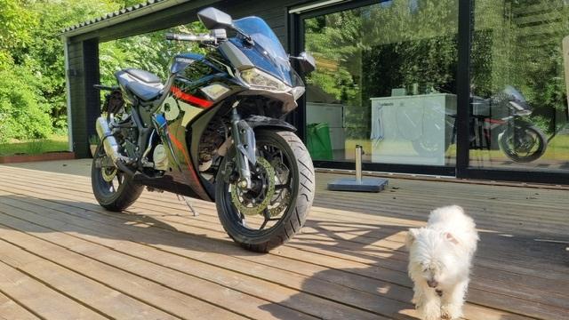 Yamasaki YM50-10 billede 15