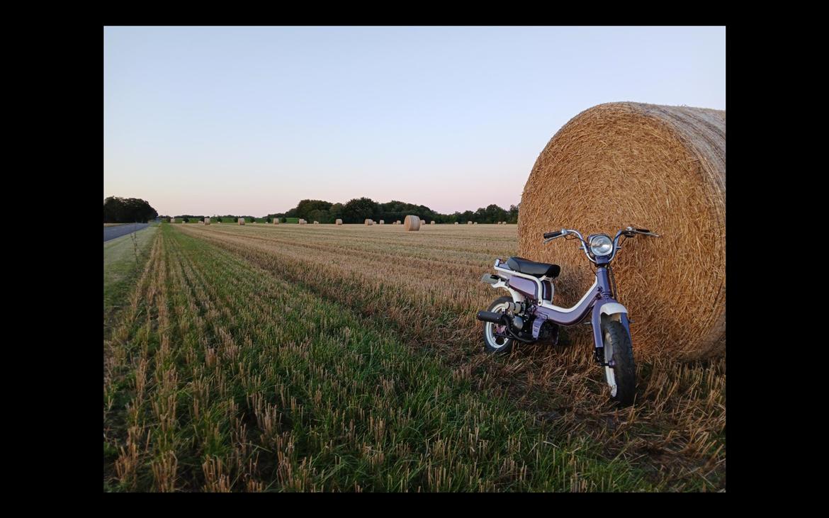 Suzuki Fz50 billede 7