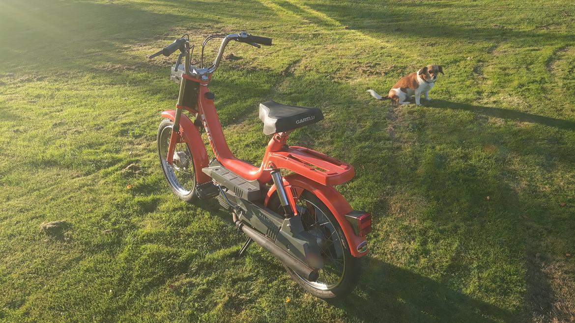 Garelli Basic billede 7