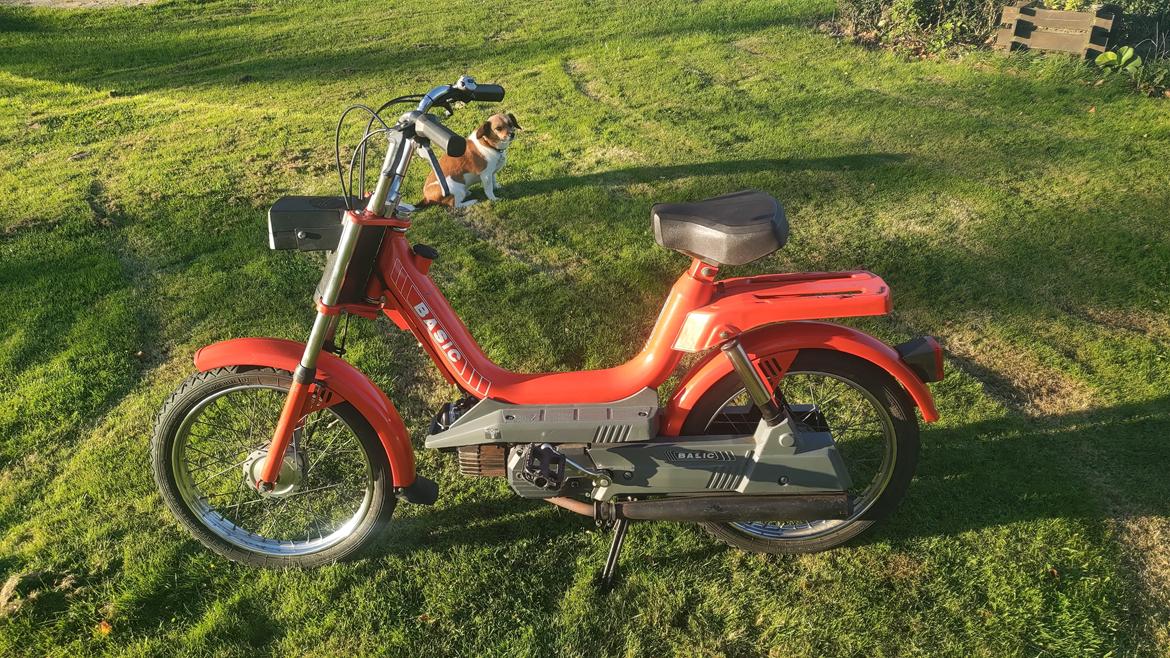 Garelli Basic billede 6