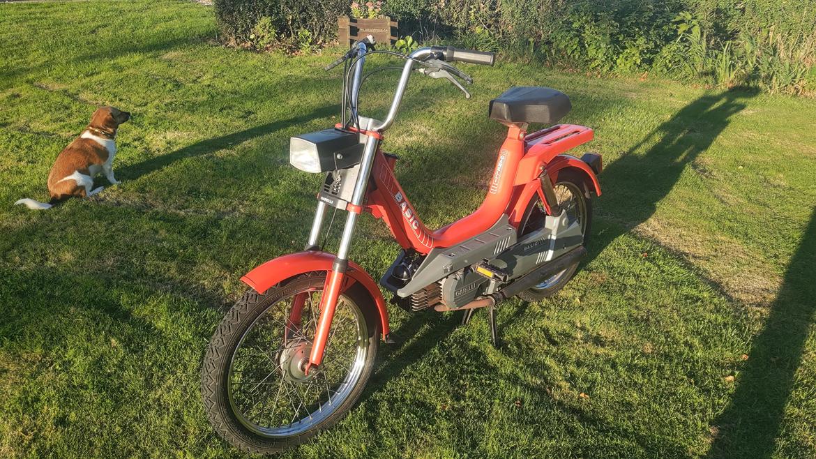 Garelli Basic billede 5