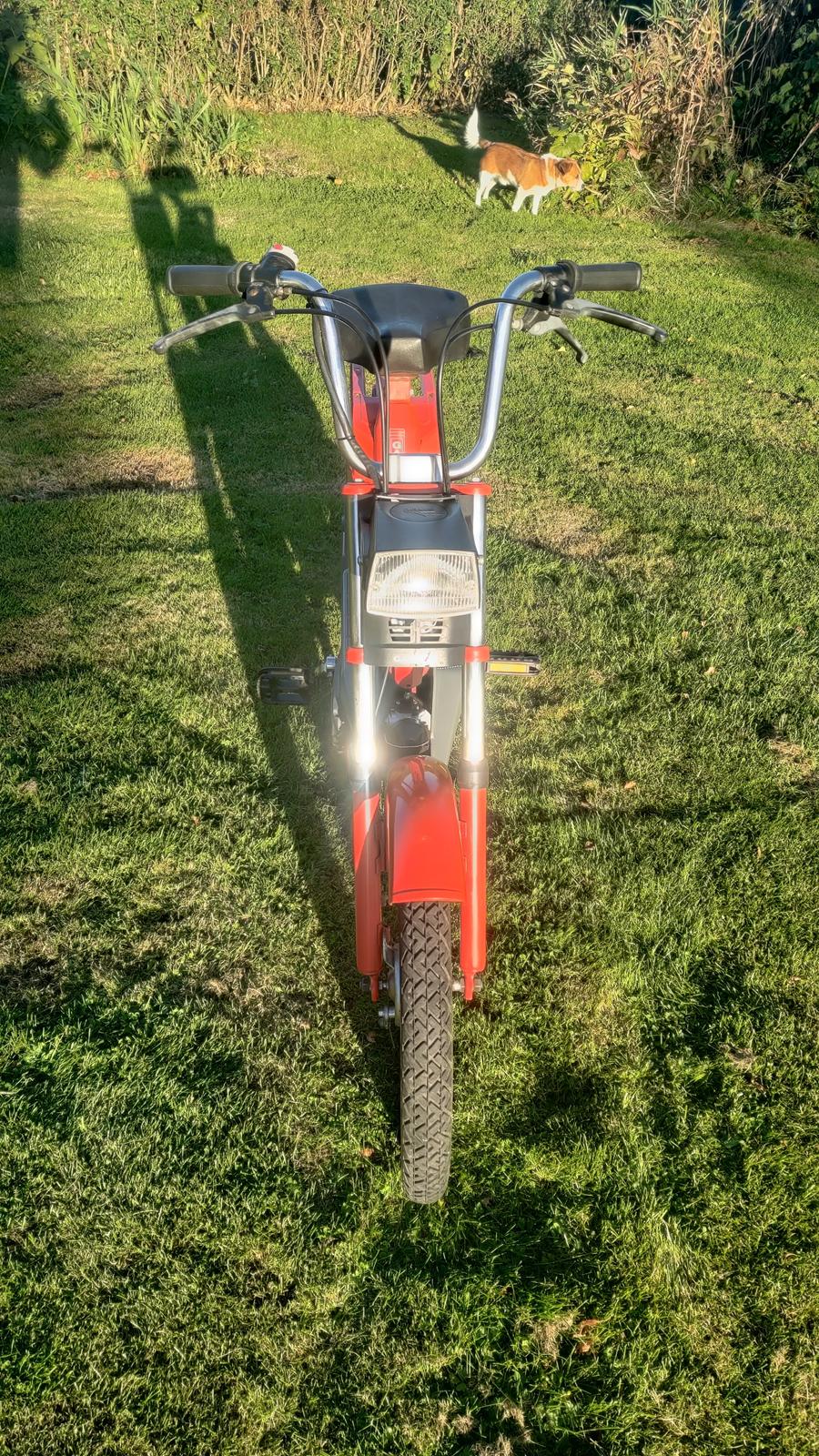 Garelli Basic billede 4