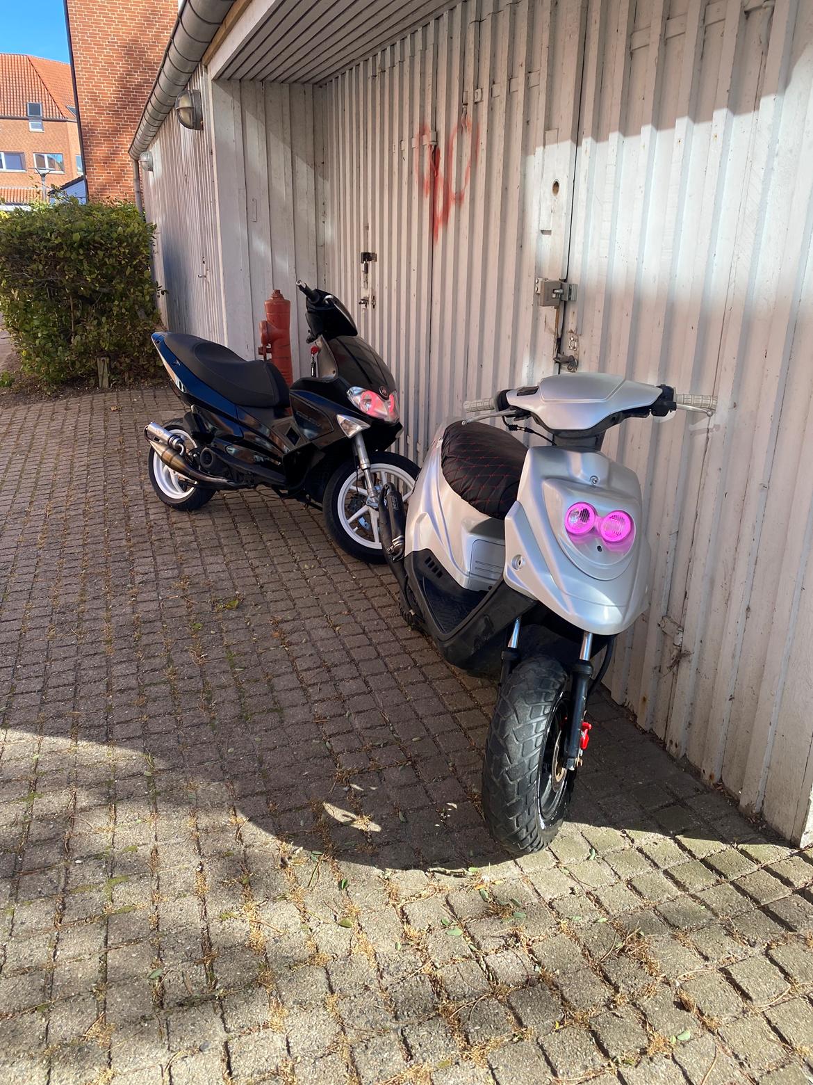 PGO Hot 50  billede 1