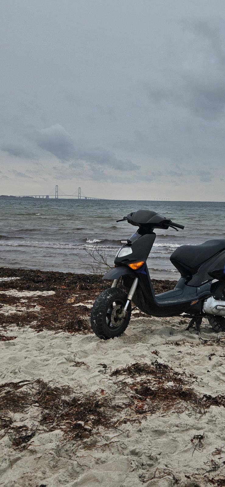 Aprilia Rally ac 50 billede 10