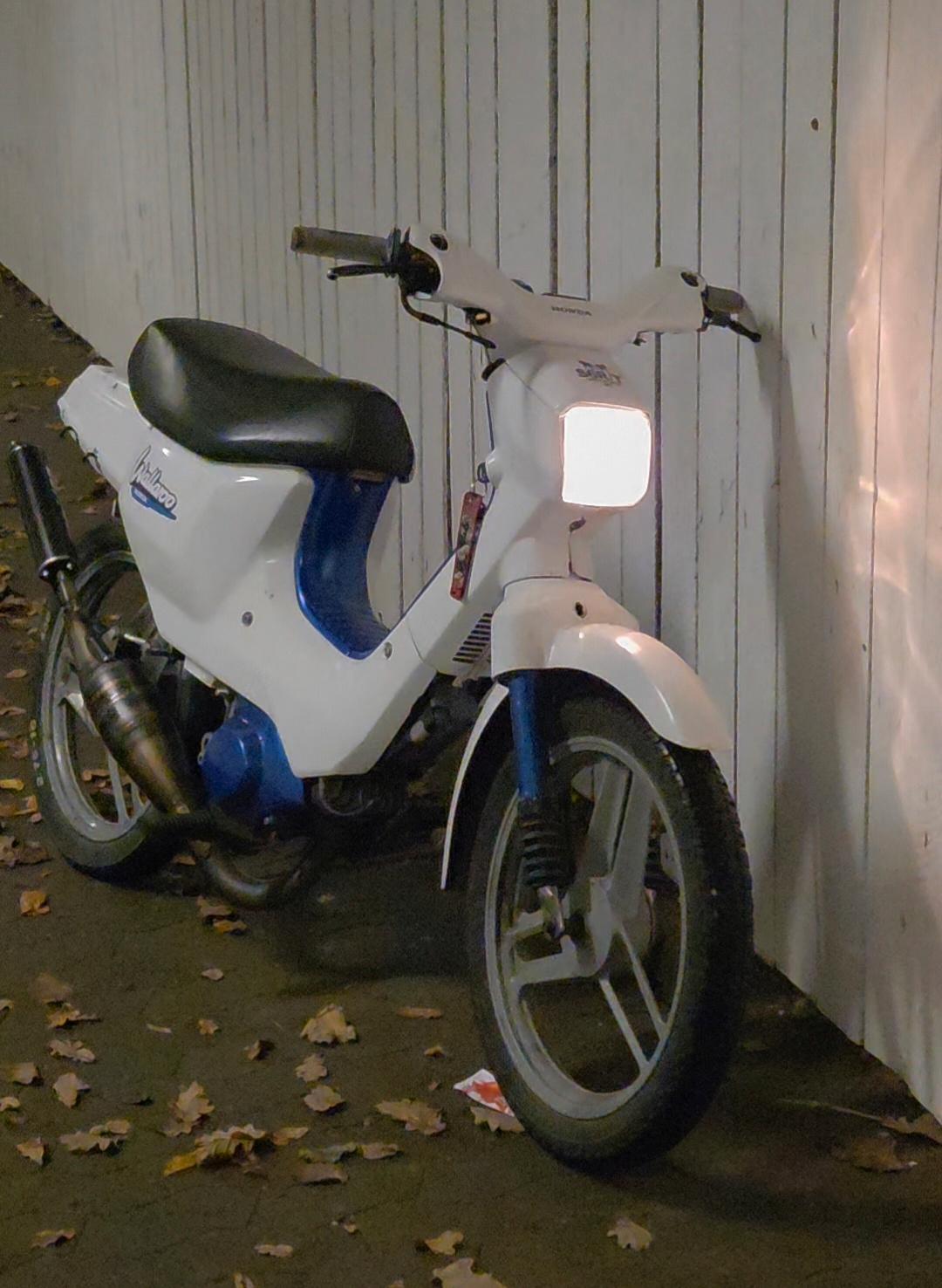 Honda Wallaroo PK50 billede 2