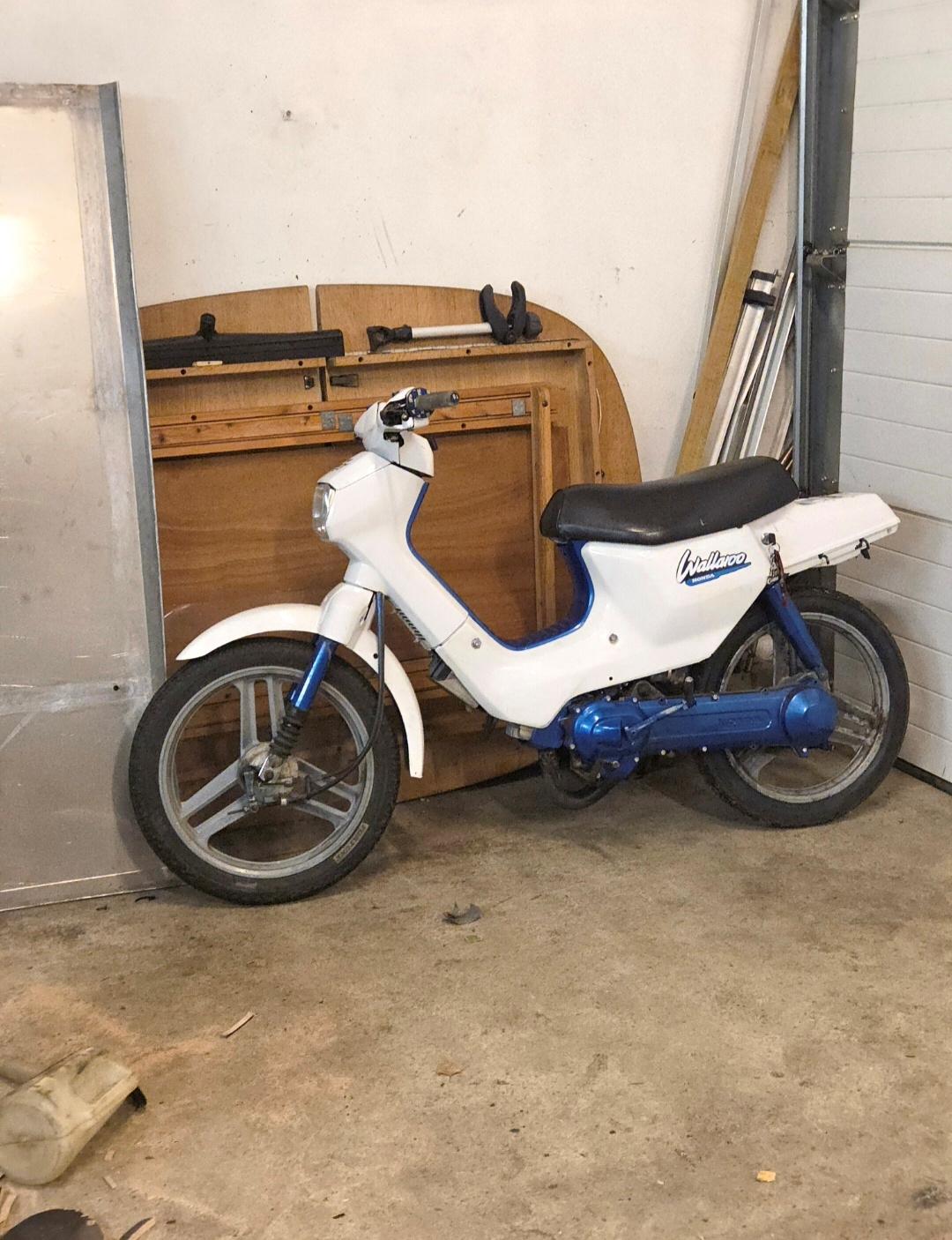 Honda Wallaroo PK50 billede 5