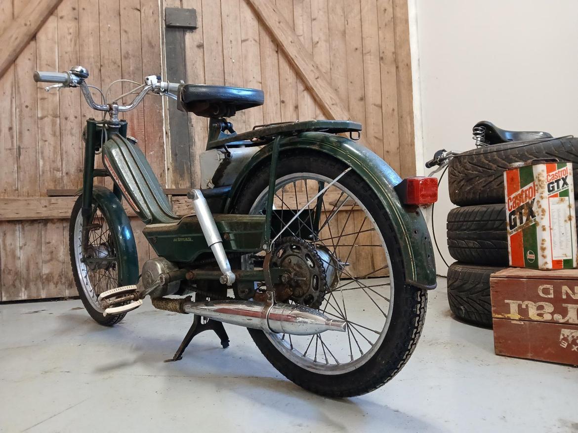 Sachs Bonnie billede 3