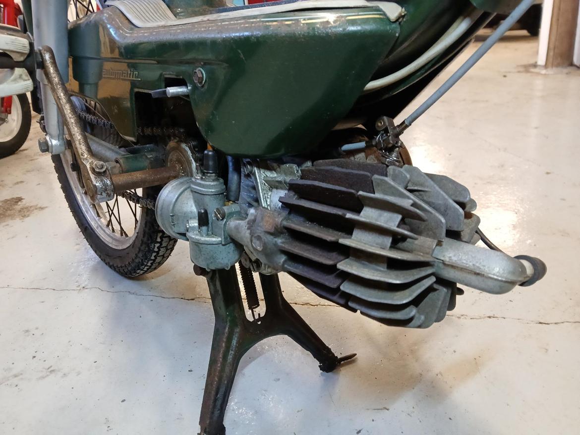 Sachs Bonnie billede 6