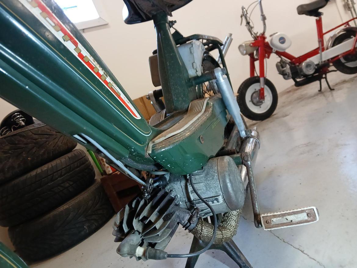 Sachs Bonnie billede 9