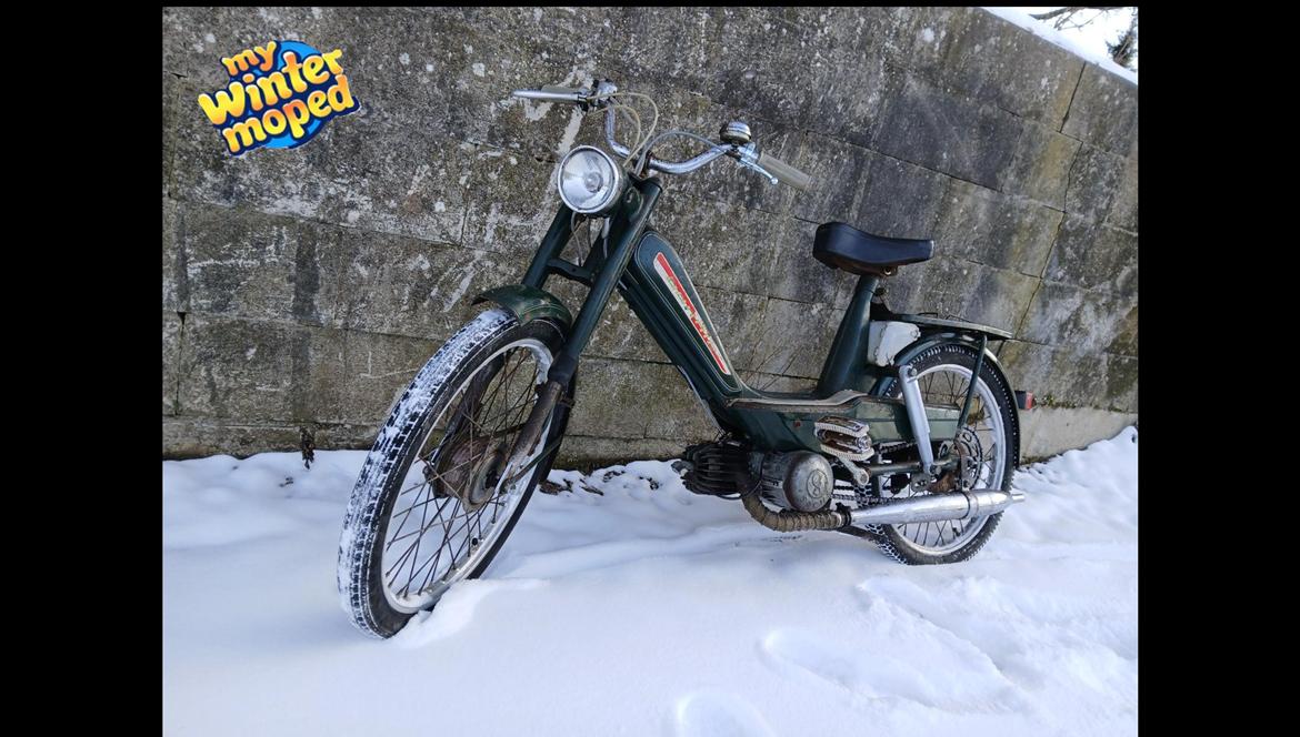 Sachs Bonnie billede 14