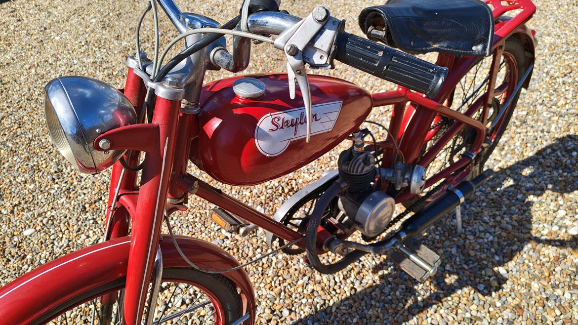 Veteraner Skylon  billede 11