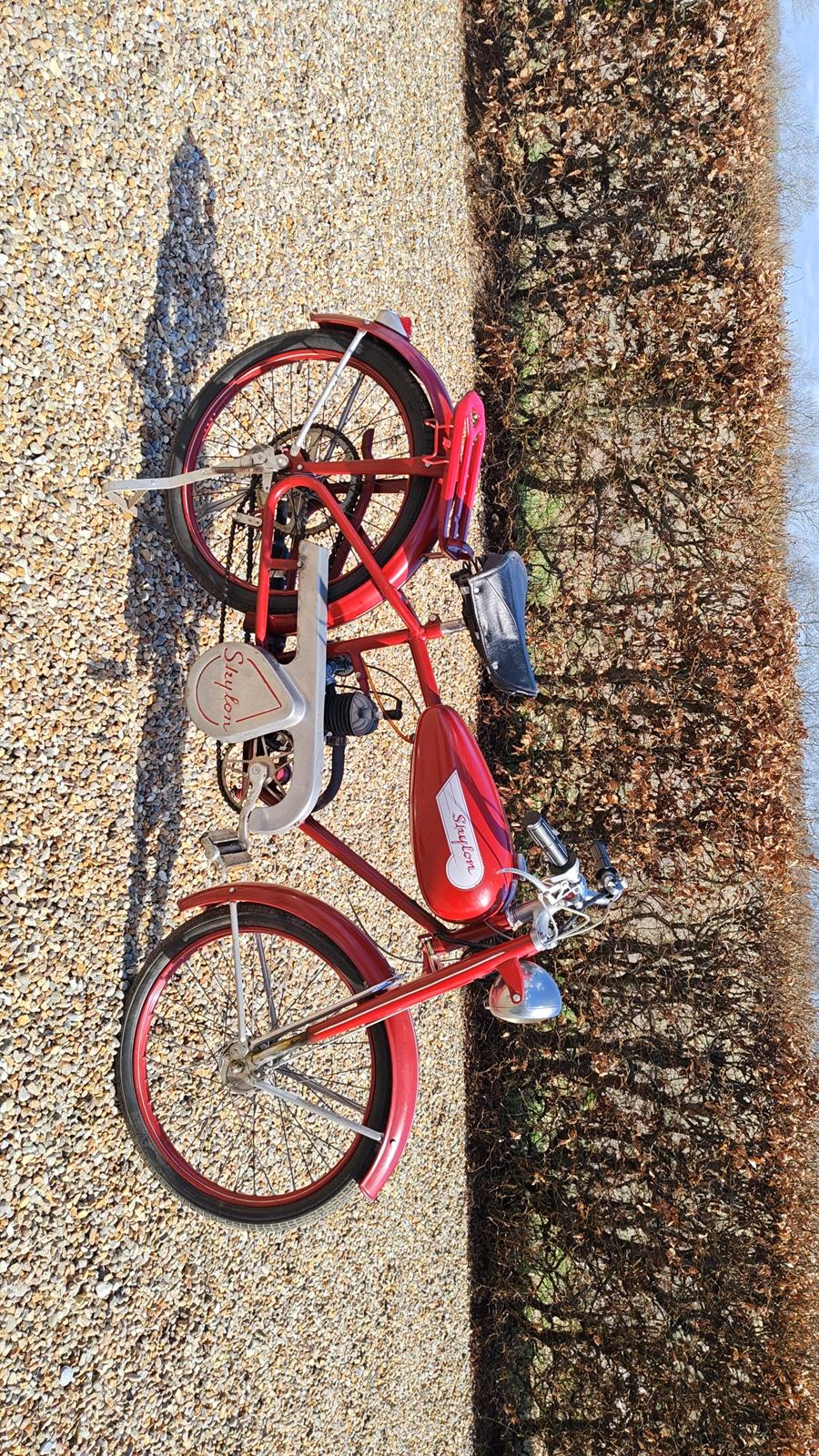 Veteraner Skylon  billede 17