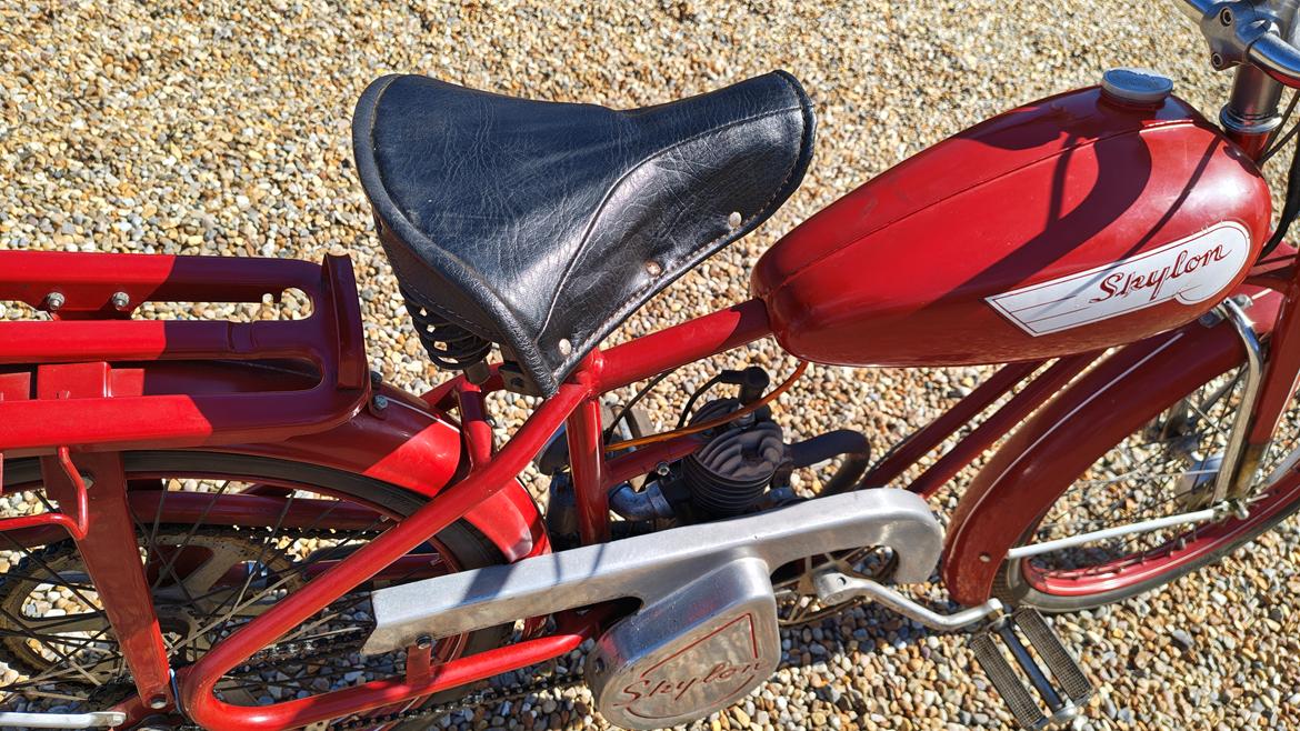 Veteraner Skylon  billede 14