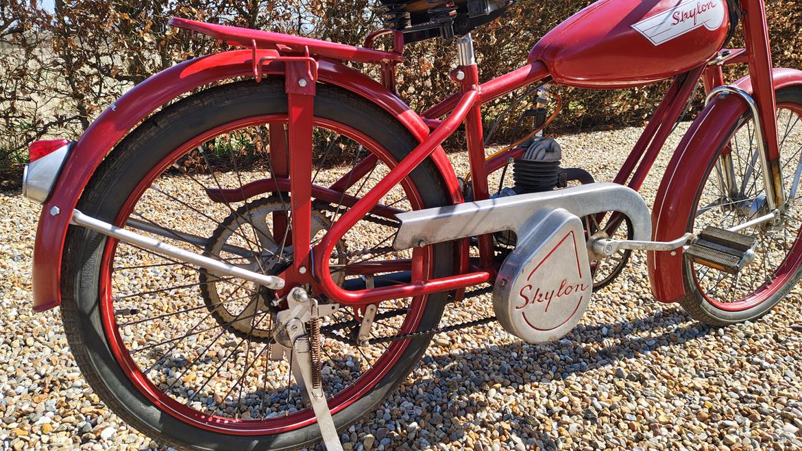 Veteraner Skylon  billede 9