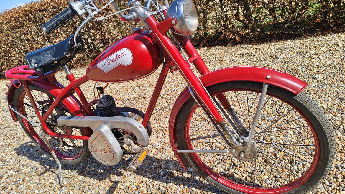 Veteraner Skylon  billede 10