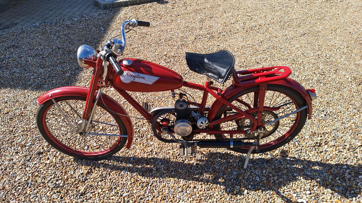 Veteraner Skylon  billede 5