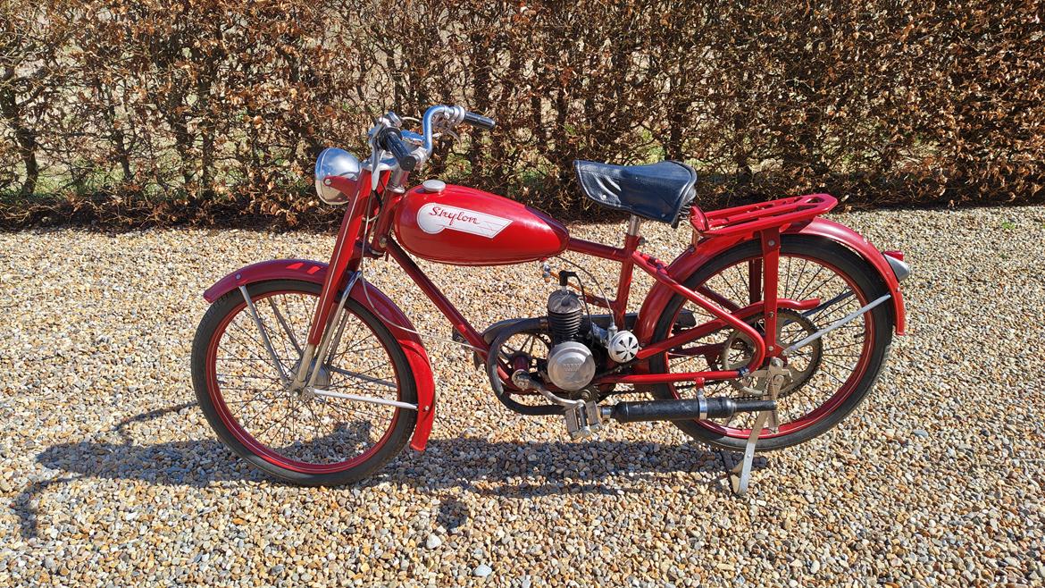 Veteraner Skylon  billede 18