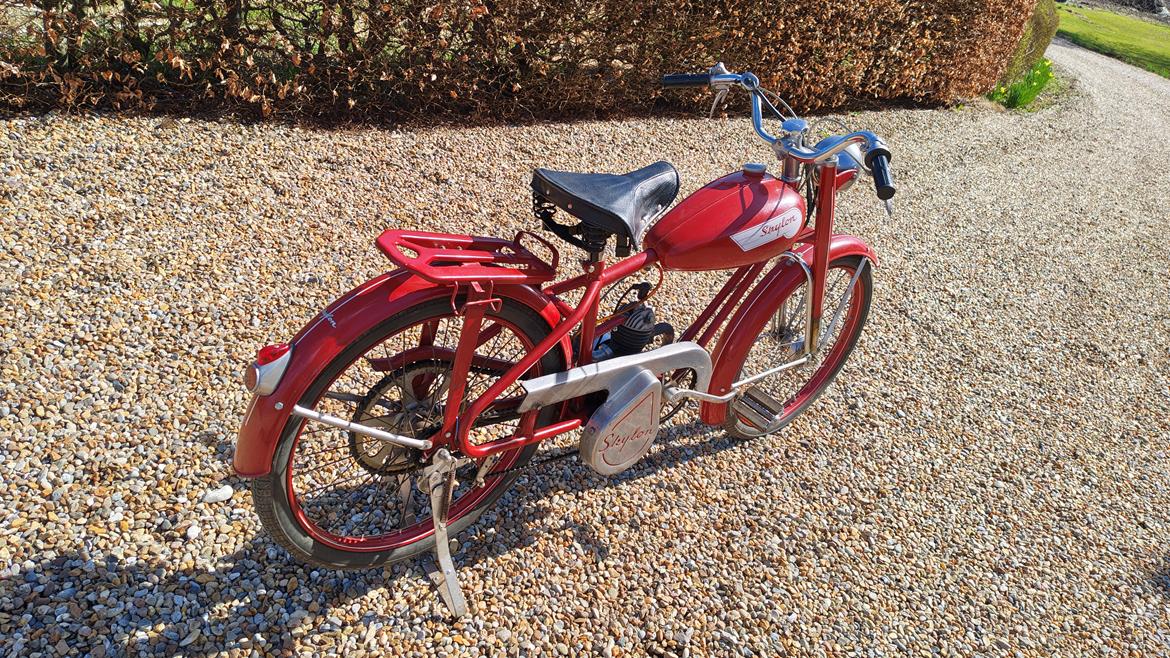 Veteraner Skylon  billede 8