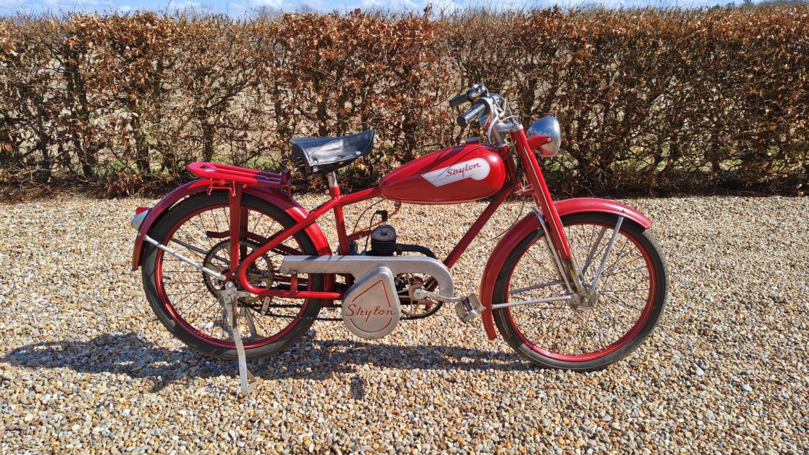 Veteraner Skylon  billede 1