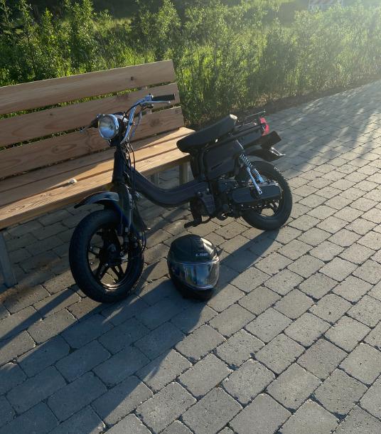 Suzuki fz50 billede 6