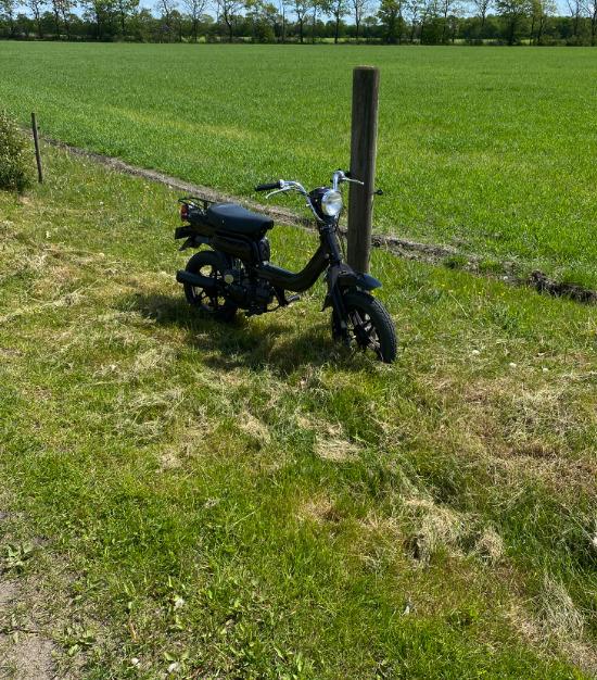 Suzuki fz50 billede 7