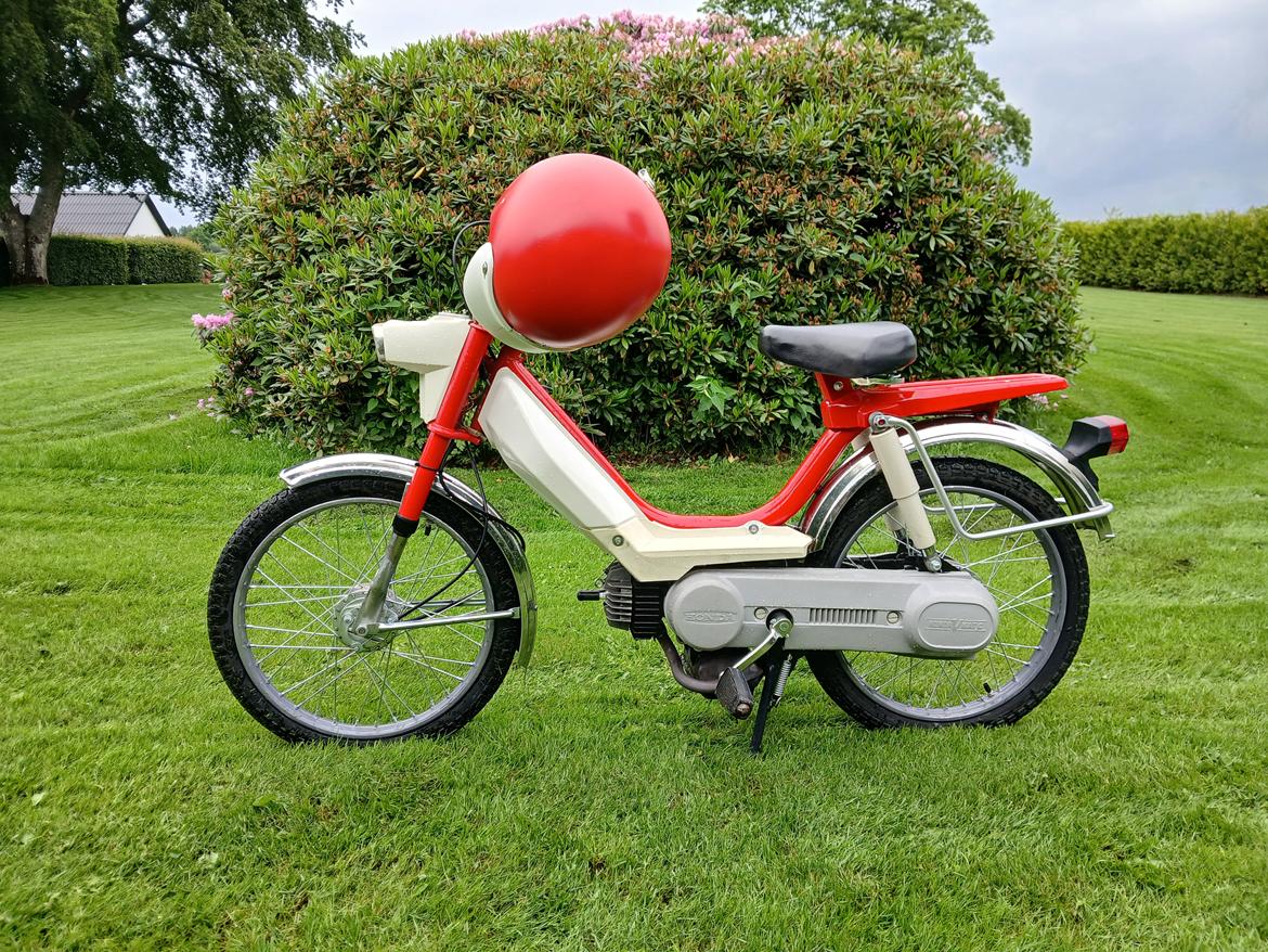 Honda Camino pa50 billede 1
