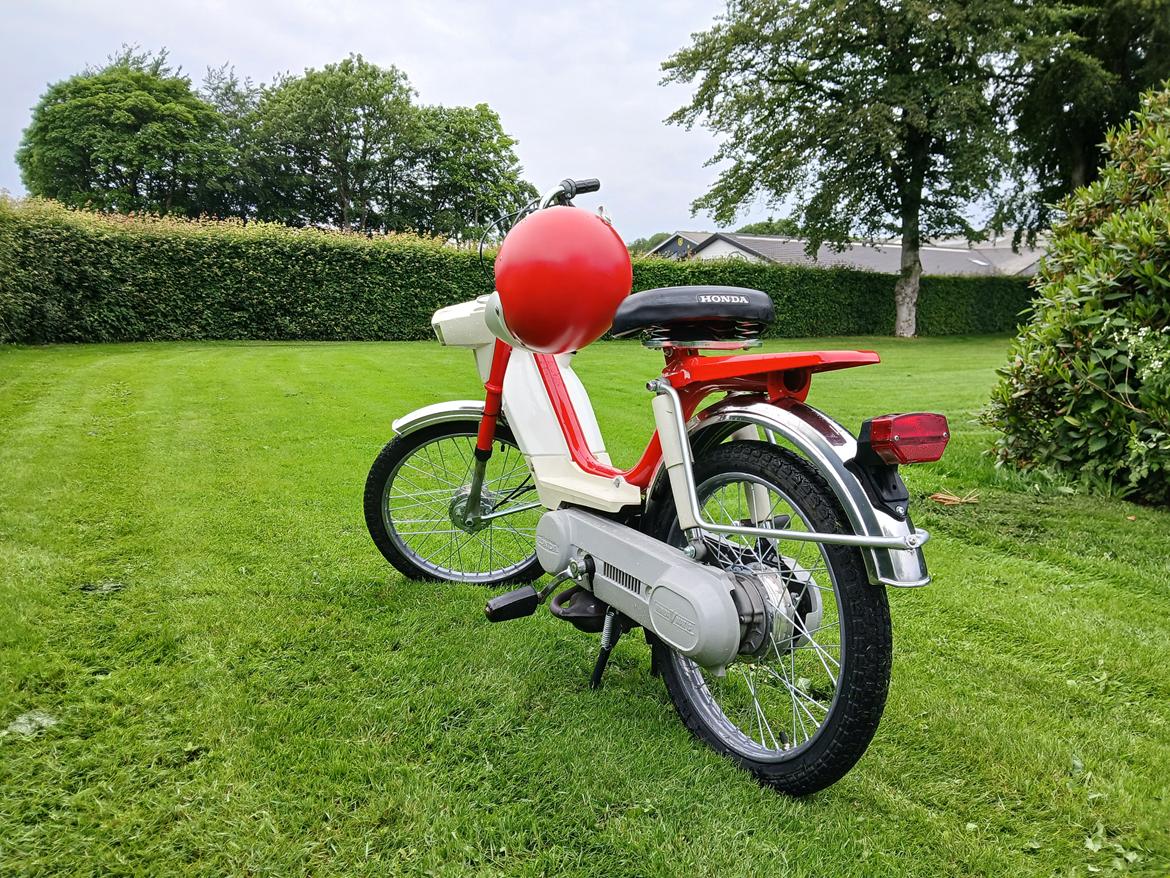 Honda Camino pa50 billede 2