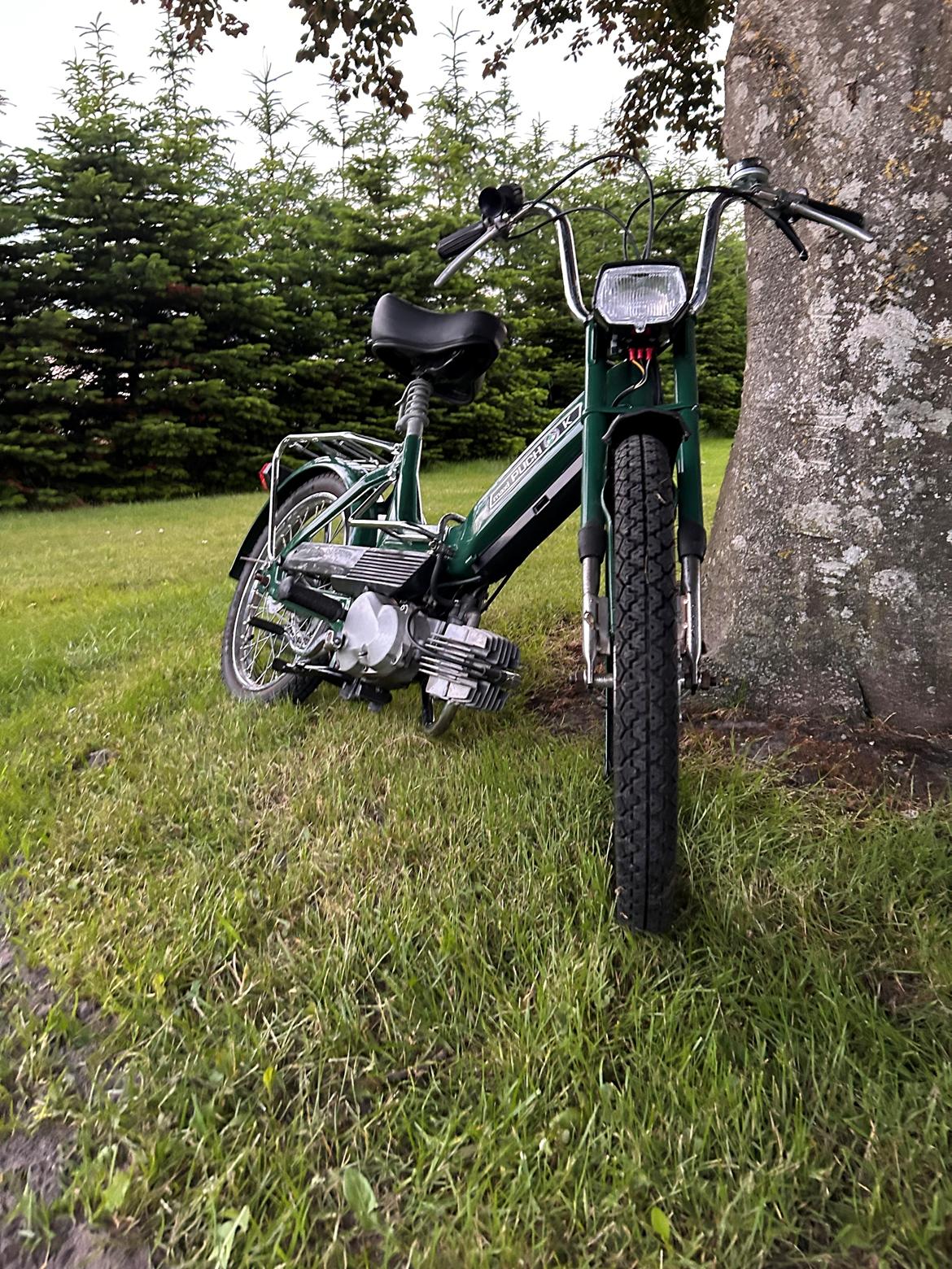 Puch Maxi K billede 1