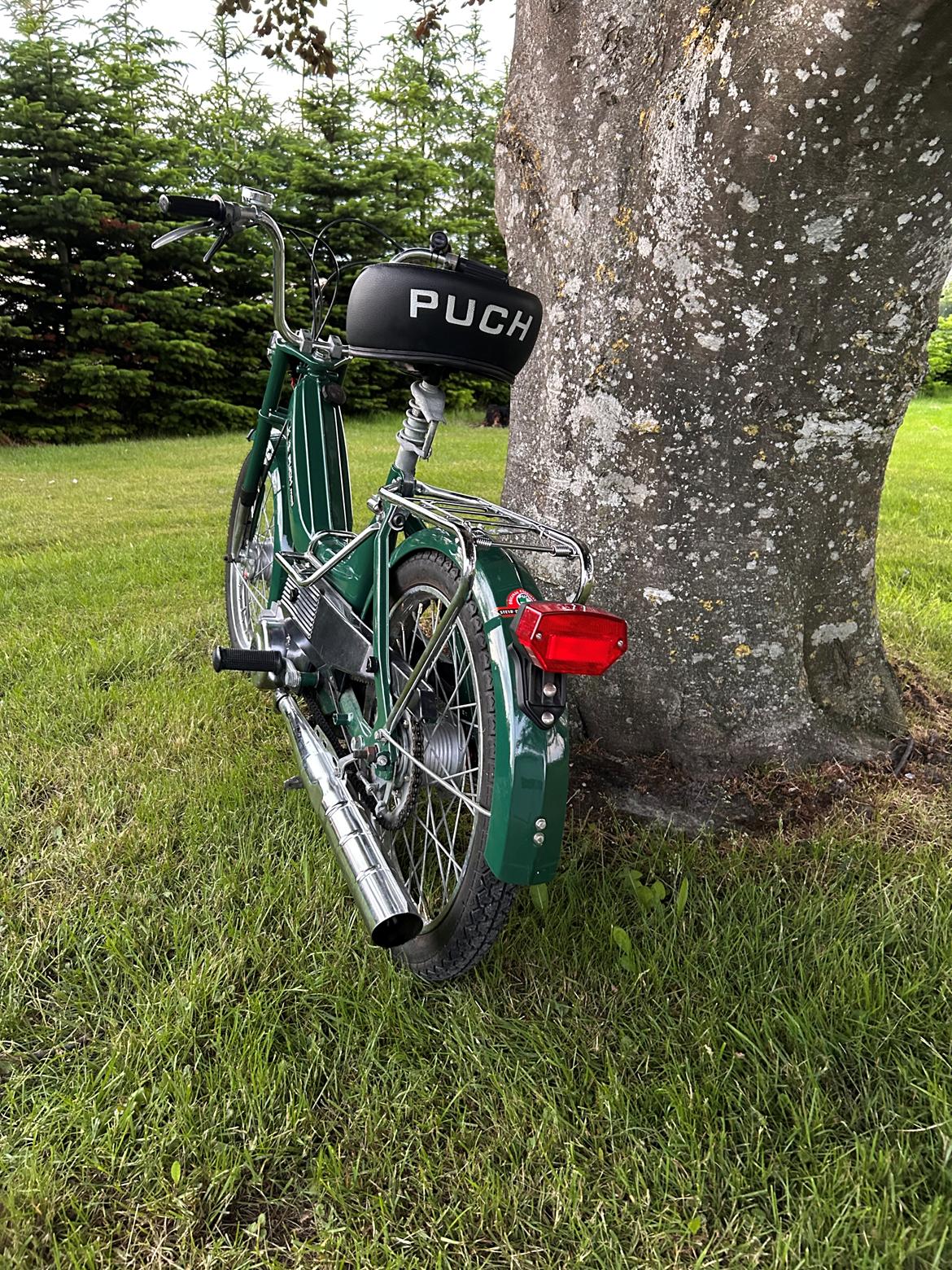 Puch Maxi K billede 5