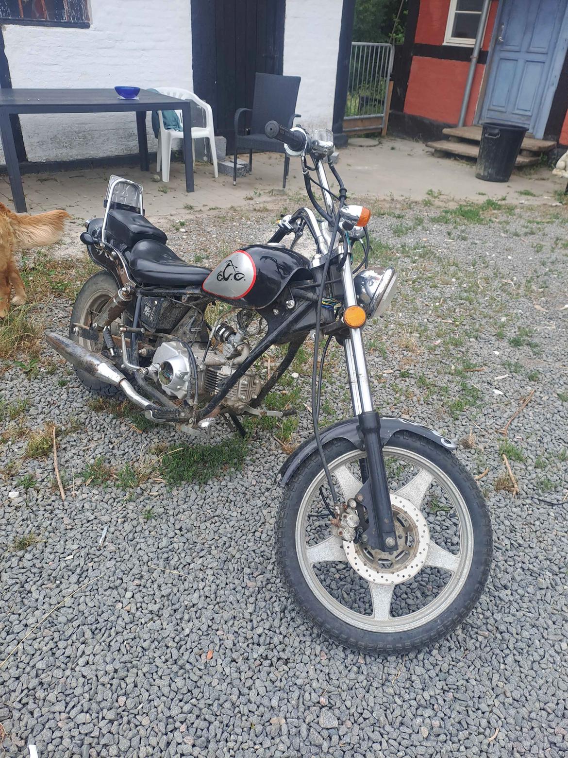 Kinroad dadyw 50 billede 2