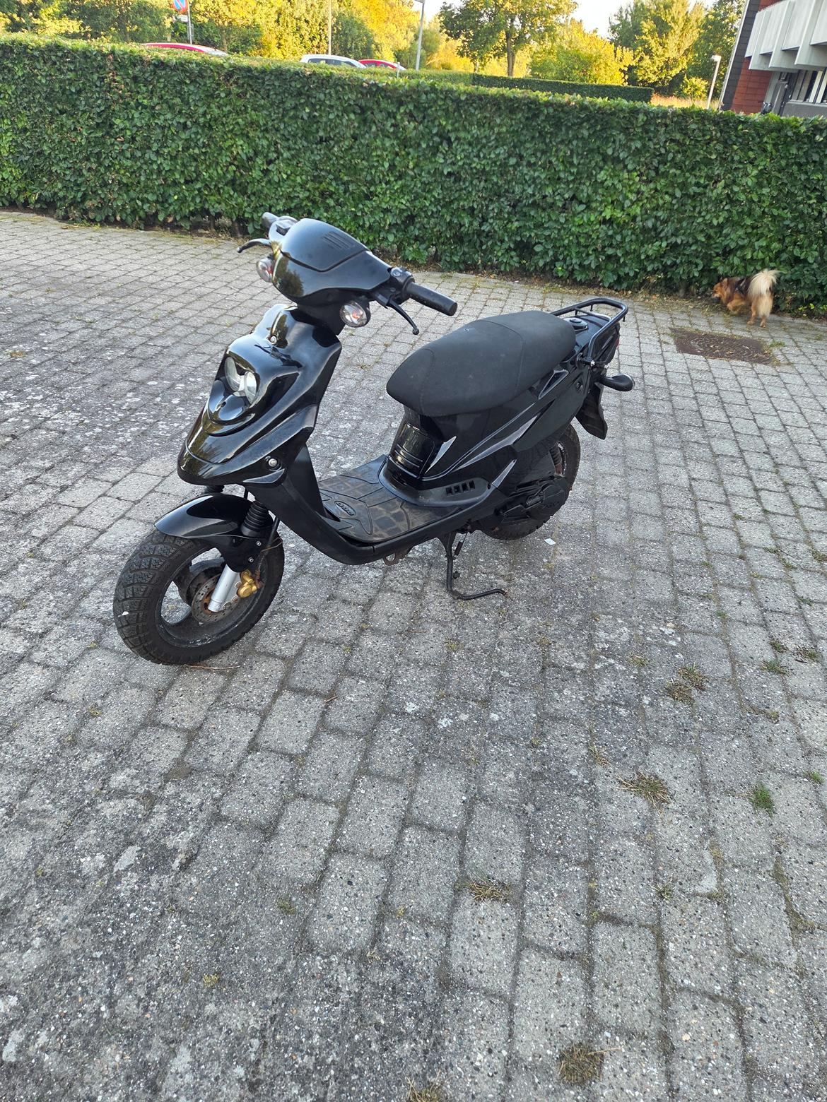 PGO Hot50 pmps billede 6