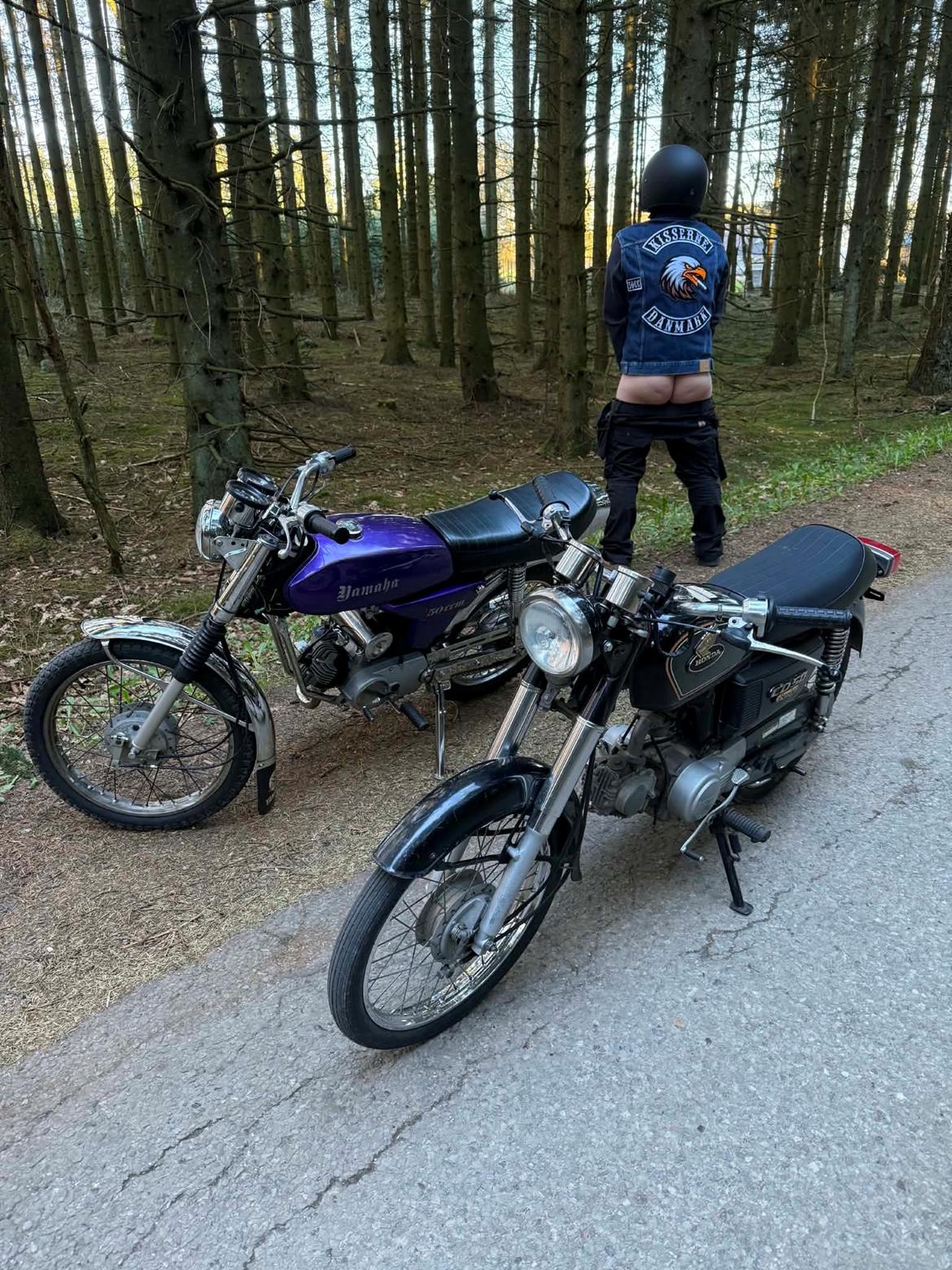 Yamaha FS1 4 Gear billede 7