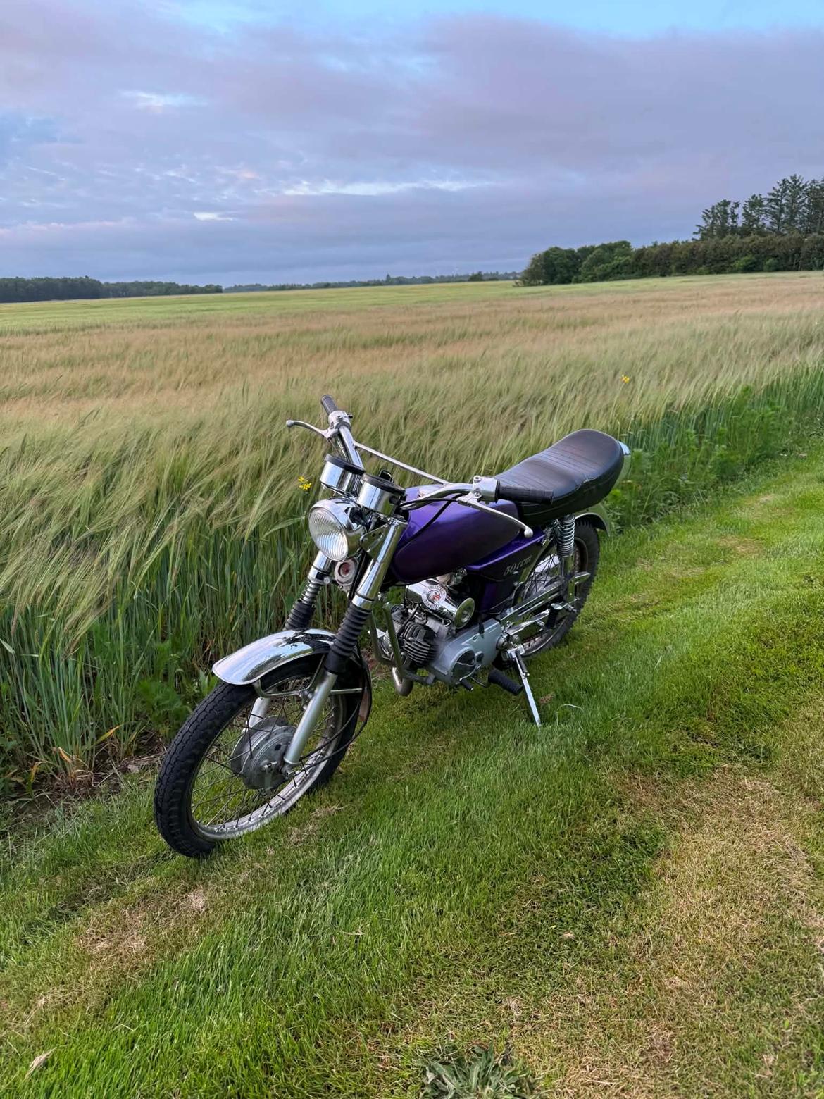 Yamaha FS1 4 Gear billede 6