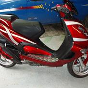 Aprilia sr50 ditech (Roed Design)
