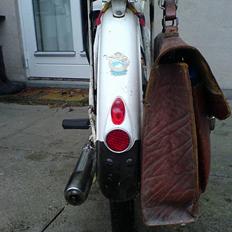 Sco Populær, Hamilton.