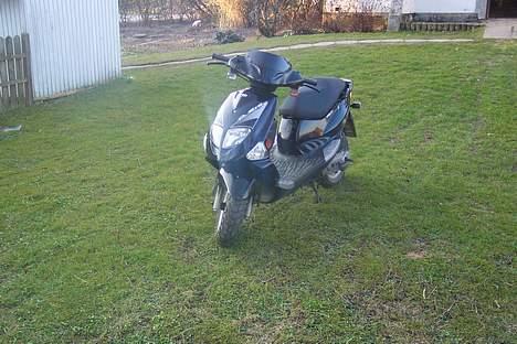 PGO Dr. Big billede 5