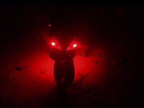 Benelli 491 ¤Solgt¤ billede 16