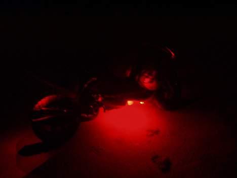 Benelli 491 ¤Solgt¤ billede 17