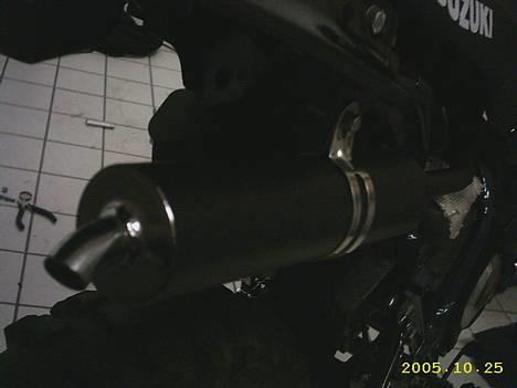 Suzuki SMX *Suzzi!* - Potten <3 billede 5