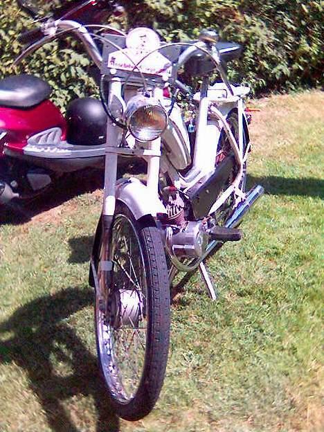 Sco Populær, Hamilton. billede 6