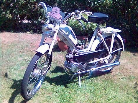 Sco Populær, Hamilton. billede 7