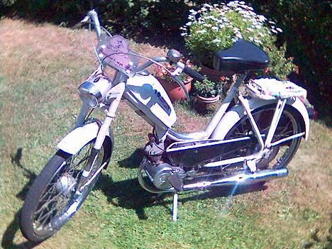 Sco Populær, Hamilton. billede 8